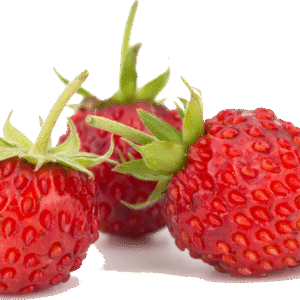 Fraise Mara des Bois